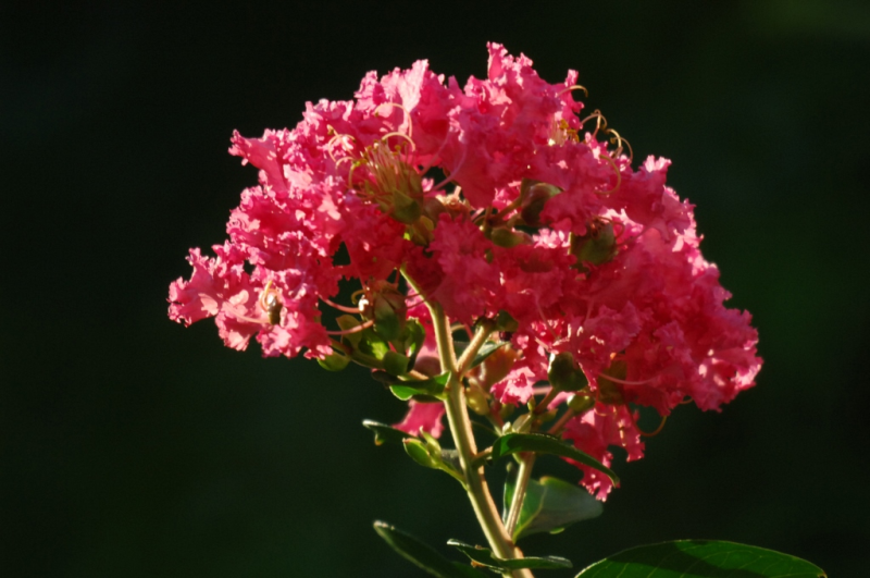 9af7fc04ba87493eae7090929c44b8ef