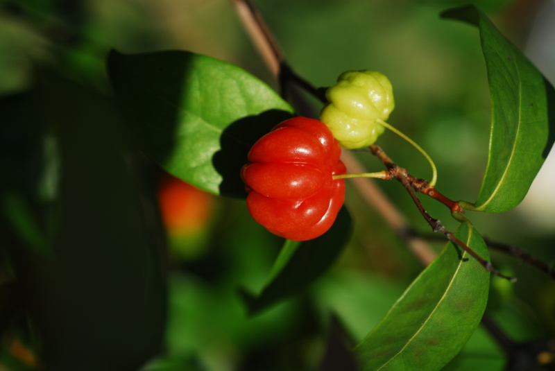 8604ed21c502427cac5ddffe6636e097