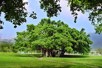 威客电竞·(中国)VKGAME