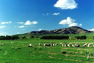 威客电竞·(中国)VKGAME